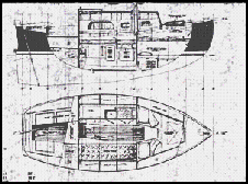 Flicka line drawings side view