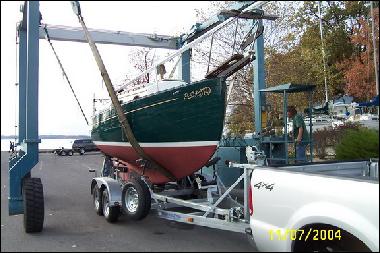 Flicka Cat's Paw being lifted onto her trailer' - Tom Davison