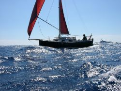 flicka sailing performance