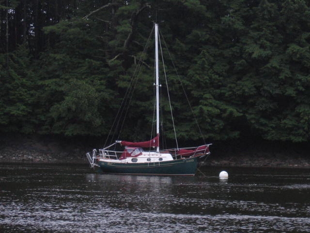 s/v Scout PSC 