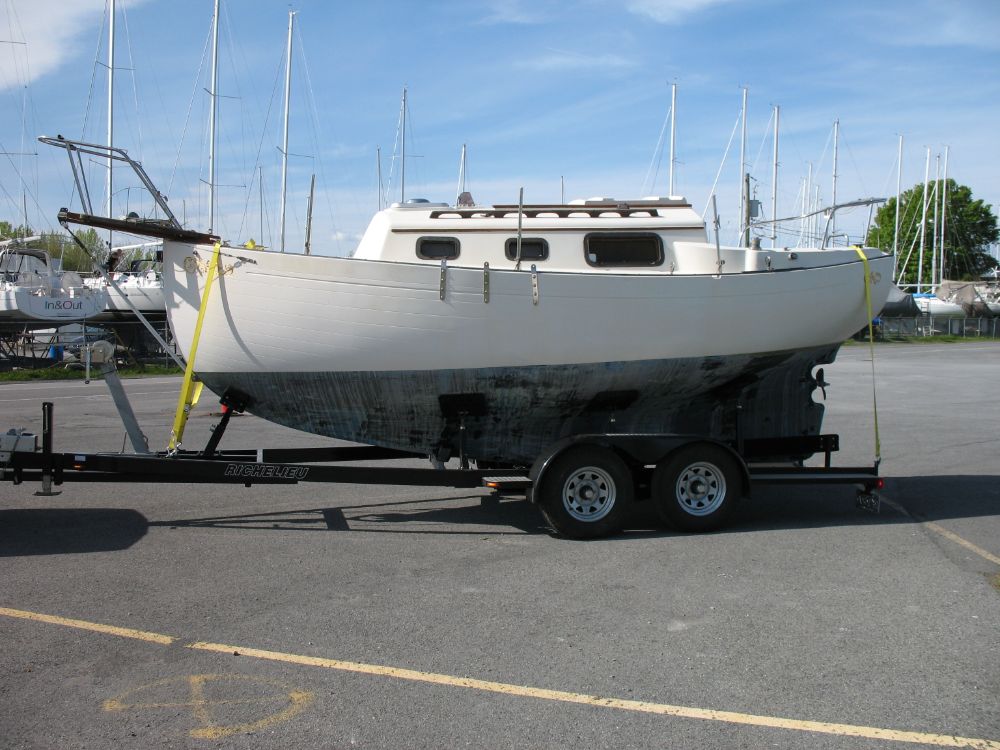 flicka cygnet on trailer.JPG