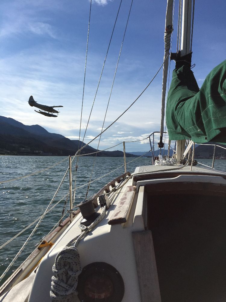 flicka swallowtail at sea