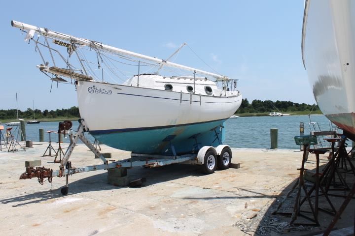 flicka winnie mae on trailer.JPG