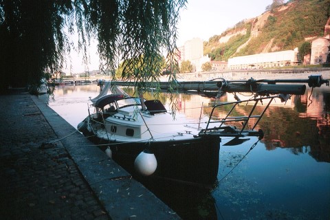 Caraway under a shady tree on the French canals at Lyon